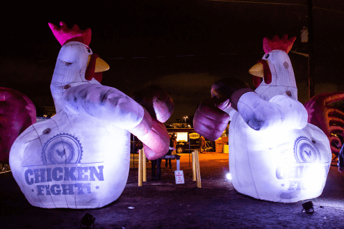 chicken-fight-image