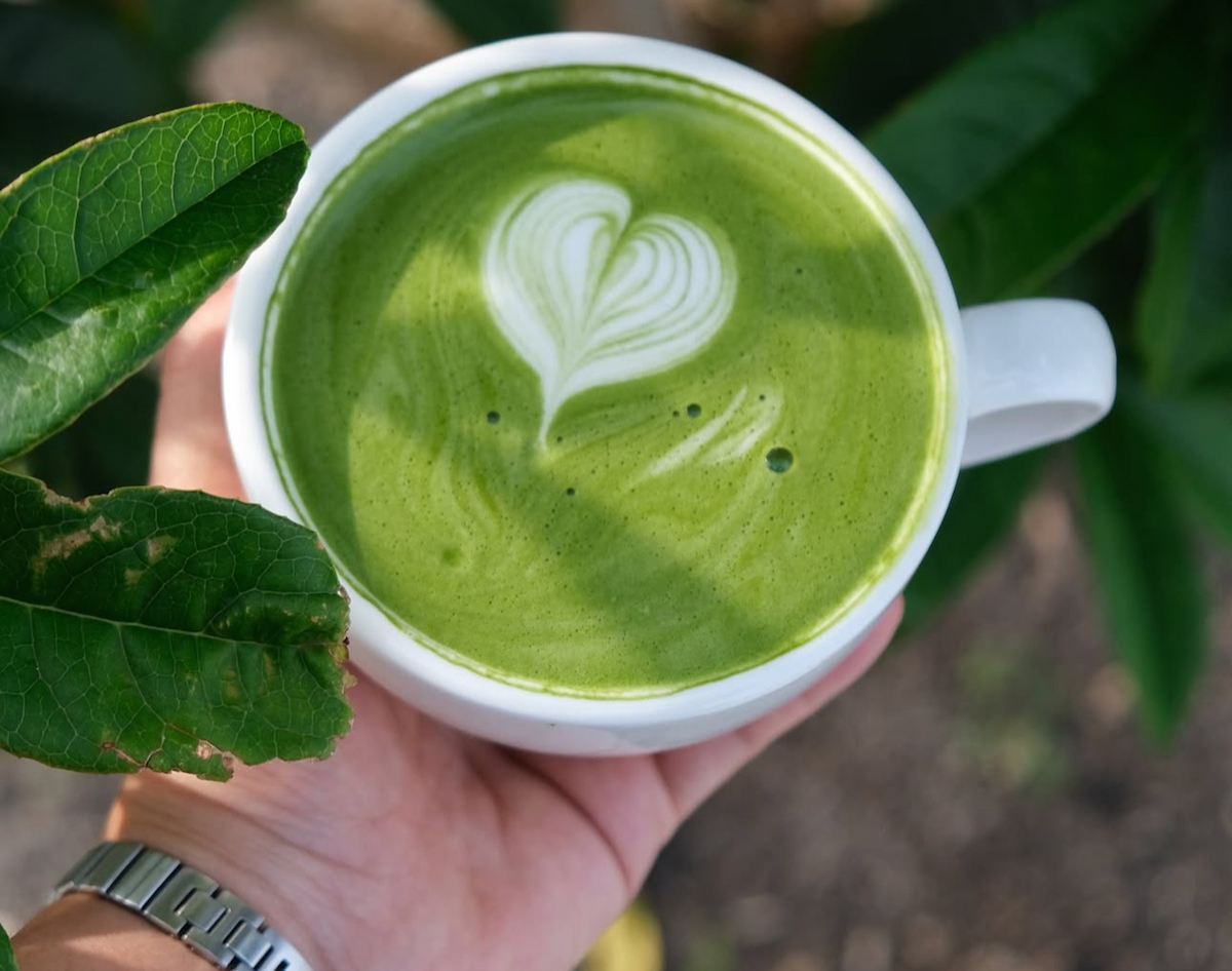 Hot matcha latte at Vog's Coffee House. | Photo by Vog's Coffee House